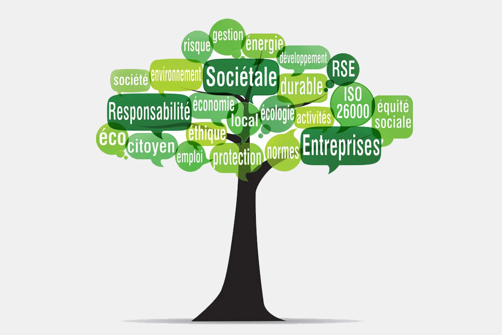 ECUE EDT 712 : RSE et développement durable