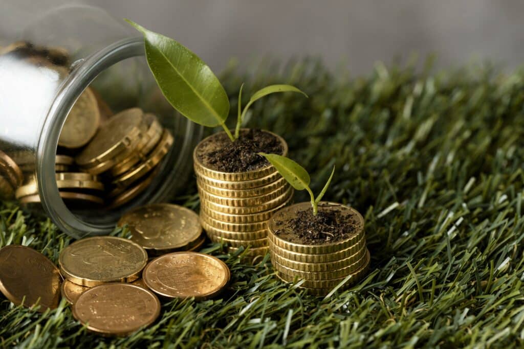 ECUE ENT 843 : Recherche de Financement de projets liés aux emplois verts et bleus